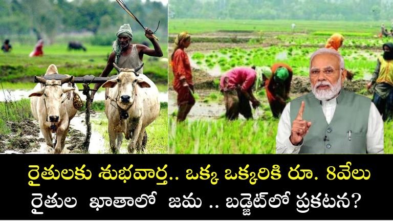 farmer badget